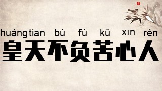 皇天不负苦心人