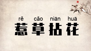 惹草拈花