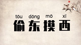 偷东摸西