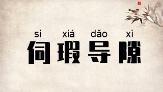 伺瑕导隙