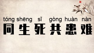 同生死共患难