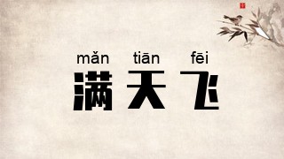 满天飞