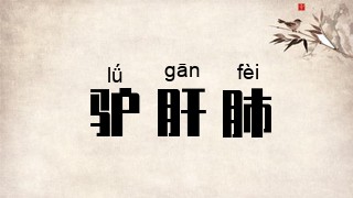 驴肝肺