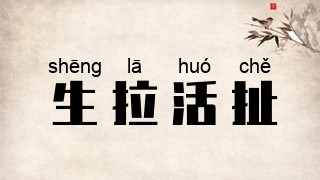 生拉活扯