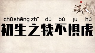 初生之犊不惧虎