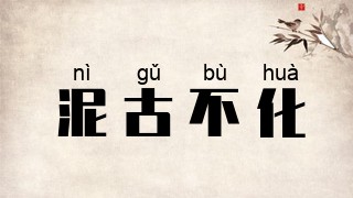 泥古不化