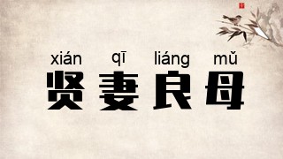 贤妻良母