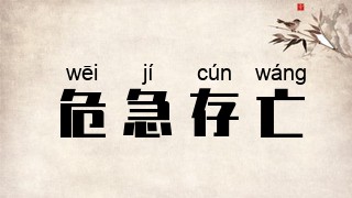 危急存亡