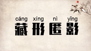 藏形匿影