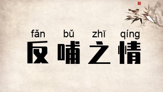 反哺之情