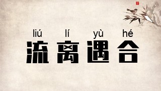 流离遇合