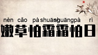 嫩草怕霜霜怕日