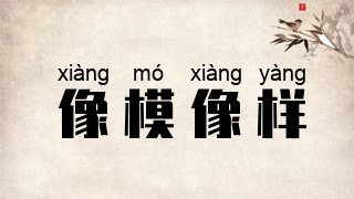 像模像样