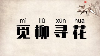 觅柳寻花