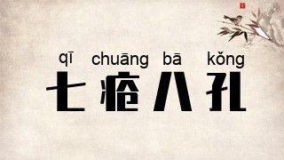 七疮八孔