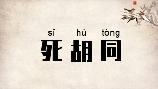 死胡同