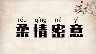 柔情密意