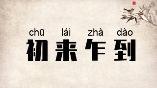 初来乍到