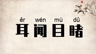 耳闻目睹