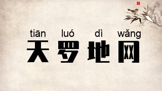 天罗地网