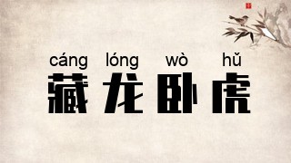 藏龙卧虎