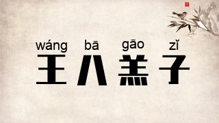 王八羔子