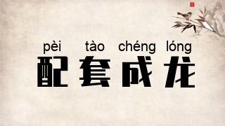 配套成龙