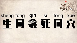 生同衾，死同穴