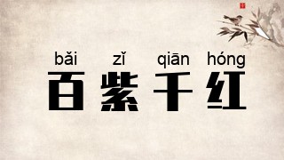 百紫千红