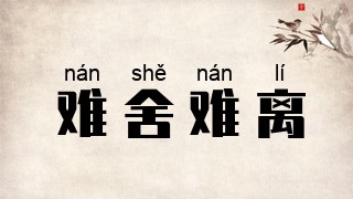 难舍难离