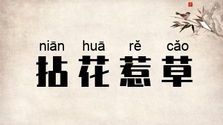拈花惹草