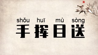 手挥目送