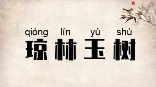 琼林玉树