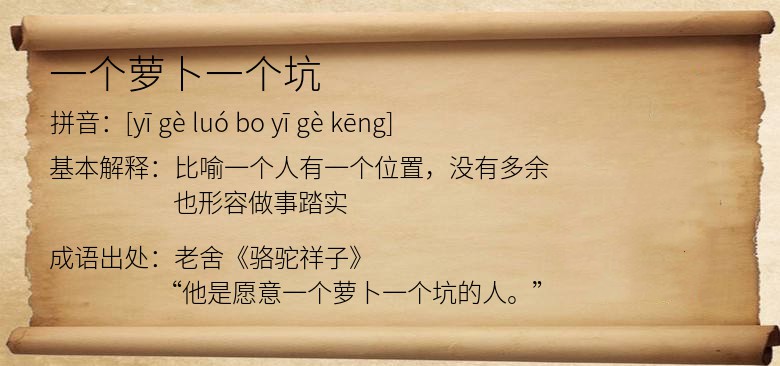 一个萝卜一个坑