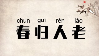 春归人老