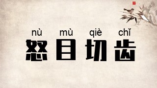 怒目切齿