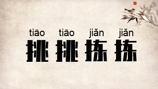 挑挑拣拣
