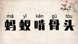 蚂蚁啃骨头