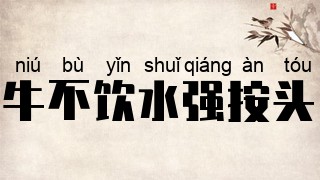 牛不饮水强按头