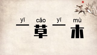 一草一木