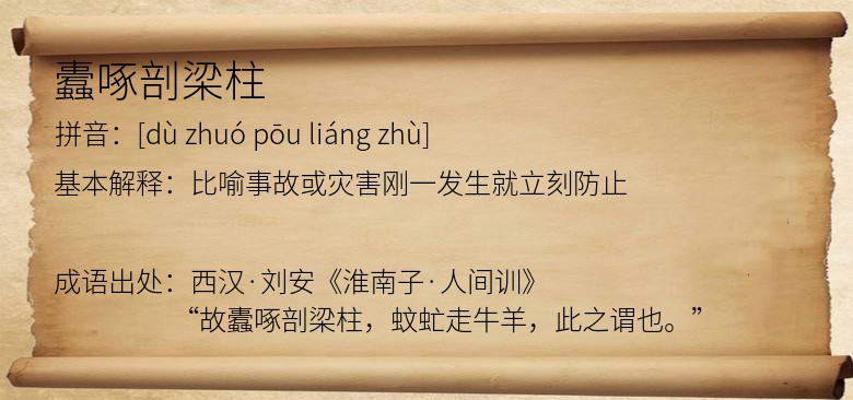 蠹啄剖梁柱