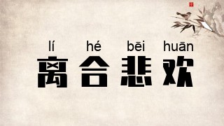 离合悲欢