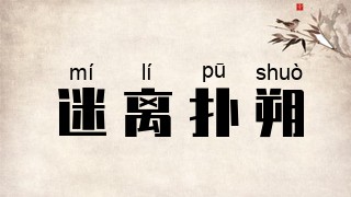 迷离扑朔