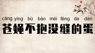 苍蝇不抱没缝的蛋