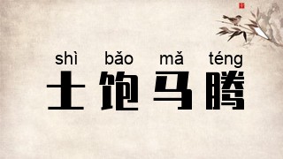 士饱马腾