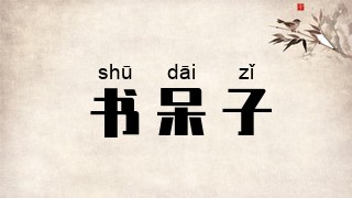 书呆子