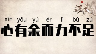 心有余而力不足