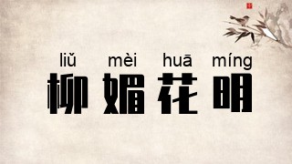 柳媚花明