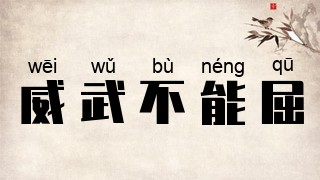 威武不能屈