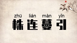 株连蔓引